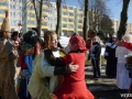 84_masopust_zubri_2015.jpg