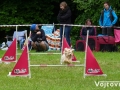 25_rebels_cup_2015