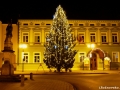 14_vanocni_strom_Roznov_2014
